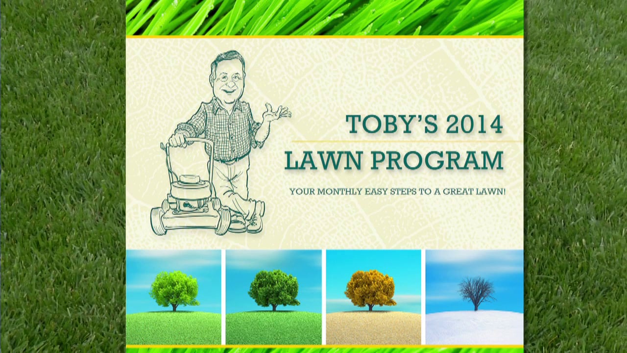 Toby Tobin Lawn Program
