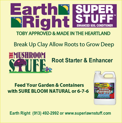 Website image for Tobin site